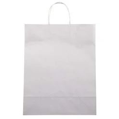 Cheap 🔥 Glossy White Paper Bag by Celebrate It™ ✔️