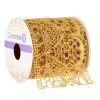 Top 10 ⌛ 3" Lace Ribbon by Celebrate It® Occasions™ ⭐