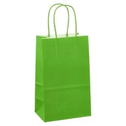 Best Pirce 🌟 Small Green Paper Bags by Celebrate It™ 🤩