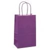 Flash Sale ⭐ Small Purple Paper Bags by Celebrate It™ 👍