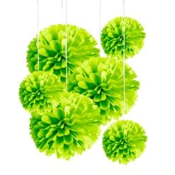 Hot Sale 👏 Green Paper Pom Poms By Celebrate It™ 😉