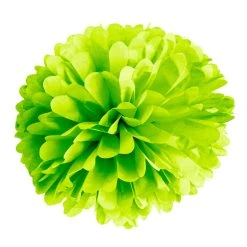 Hot Sale 👏 Green Paper Pom Poms By Celebrate It™ 😉 -Celebrate It Sales Shop 10525491 5