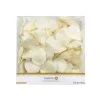 Hot Sale ✔️ Cream Decorative Petals by Celebrate It™ ⌛