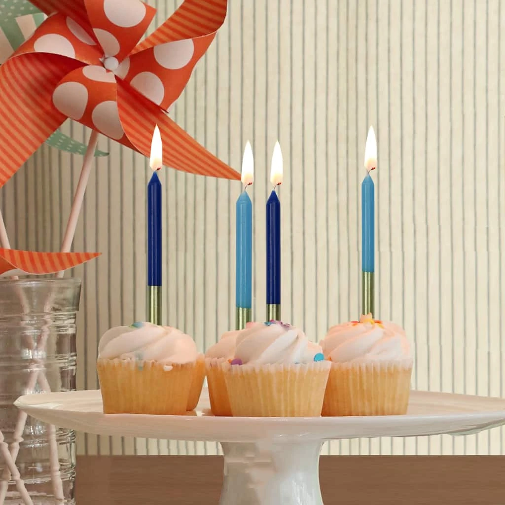 Best Pirce π 12 Packs: 12 ct. (144 total) Gold Dipped Blue Birthday Candles by Celebrate It™ π€© 2 Best Pirce π 12 Packs: 12 ct. (144 total) Gold Dipped Blue Birthday Candles by Celebrate It™ π€© - Image 2