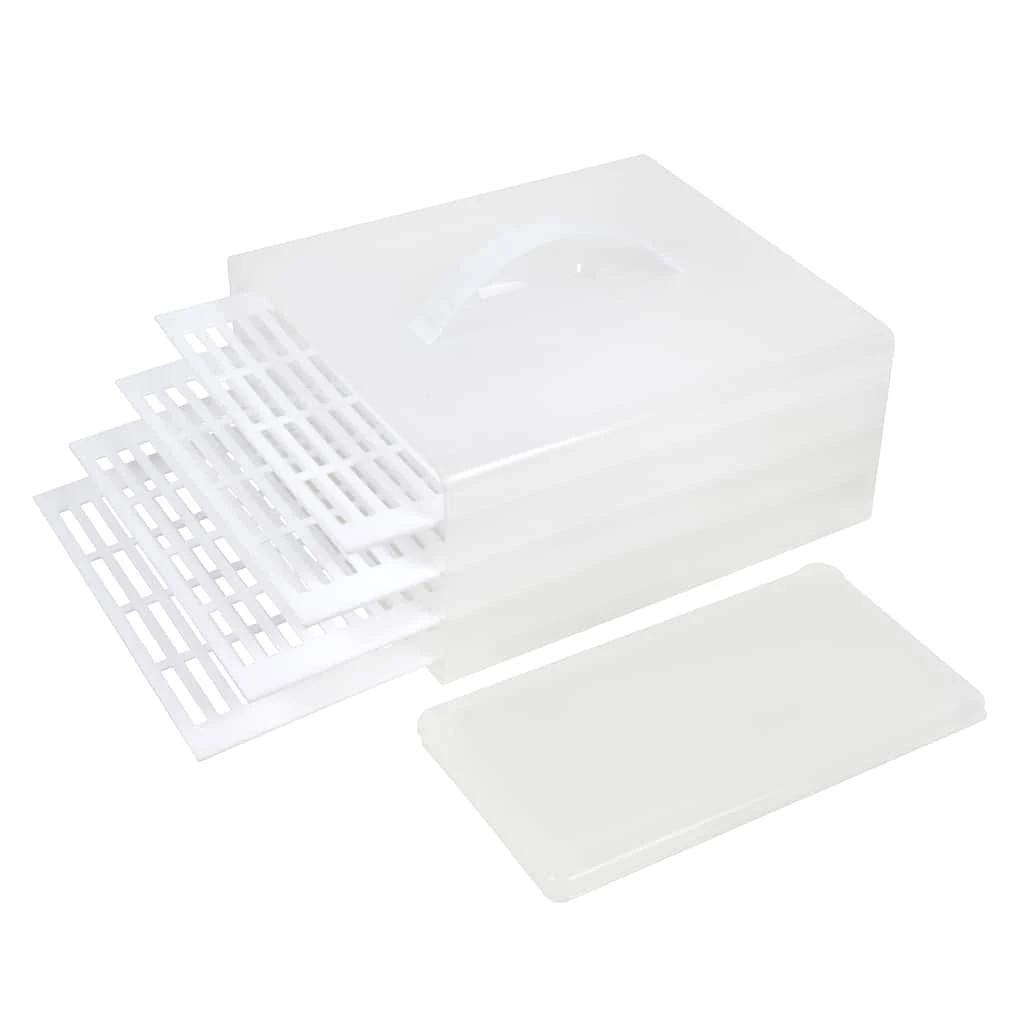 Best Sale π Treat Carrier by Celebrate It™ π 2 Best Sale π Treat Carrier by Celebrate It™ π - Image 2