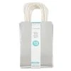 Budget 🥰 Small Silver Gift Bag Value Pack by Celebrate It™ ⭐