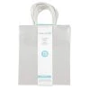 Best reviews of ❤️ Medium Silver Gift Bag Value Pack by Celebrate It™ 😀