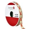 Wholesale 🛒 3/8" x 12ft. Deer Ribbon by Celebrate It® Christmas 😉