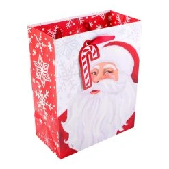 Outlet 🥰 Christmas Stripe & Santa Claus Gift Bags by Celebrate It™, 2ct. ❤️ -Celebrate It Sales Shop 10700561 3