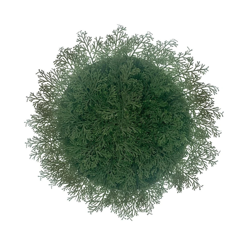 New π Fern Christmas Placemat by Celebrate It™ 𧨠1 New π Fern Christmas Placemat by Celebrate It™ π§¨